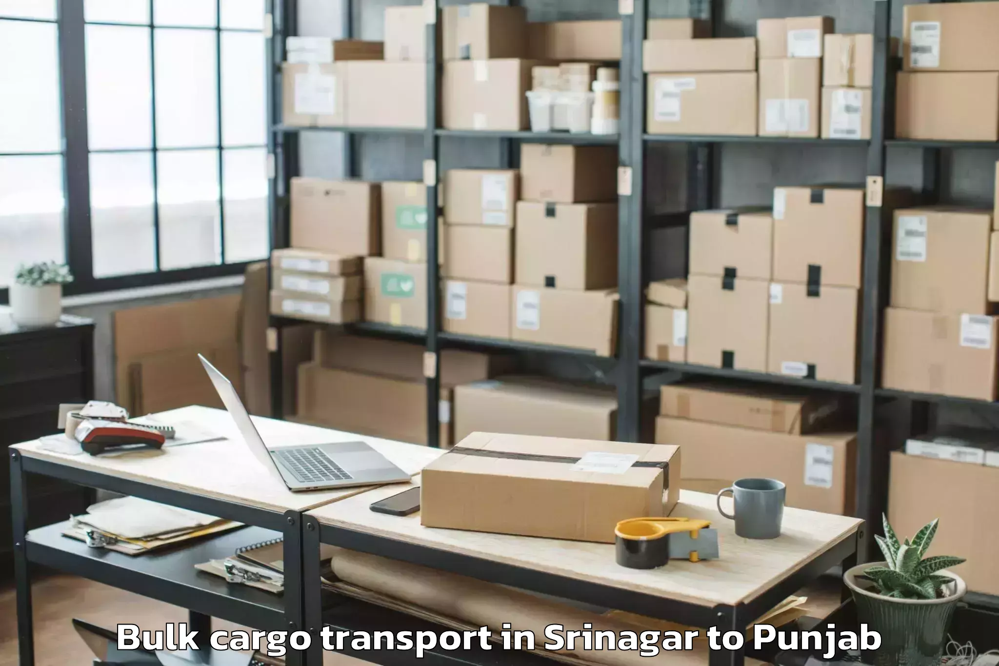 Professional Srinagar to Vr Ambarsar Mall Bulk Cargo Transport